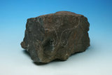 中文名:海綠石(NMNS005577-P013767)英文名:Glauconite(NMNS005577-P013767)