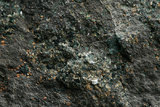 中文名:海綠石(NMNS005577-P013768)英文名:Glauconite(NMNS005577-P013768)