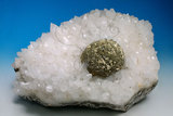 中文名:黃鐵礦(NMNS005464-P013561)英文名:Pyrite(NMNS005464-P013561)