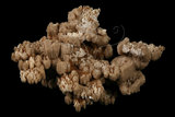 中文名:方解石(NMNS003775-P007508)英文名:Calcite(NMNS003775-P007508)