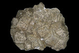 中文名:方解石(NMNS005464-P013537)英文名:Calcite(NMNS005464-P013537)