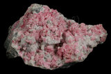 中文名:菱錳礦(NMNS000906-P003270)英文名:Rhodochrosite(NMNS000906-P003270)