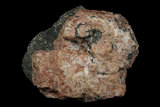 中文名:鋅鐵尖晶石(NMNS000273-P001765)英文名:Franklinite(NMNS000273-P001765)
