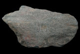中文名:赤鐵礦(NMNS000273-P001820)英文名:Hematite(NMNS000273-P001820)