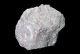 中文名:錳鎂閃石(NMNS003121-P006348)英文名:Tirodite(NMNS003121-P006348)