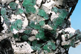 中文名:鎂電氣石(NMNS005464-P013565)英文名:Dravite(NMNS005464-P013565)