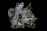 中文名:石英(NMNS005869-P014501)英文名:Quartz(NMNS005869-P014501)