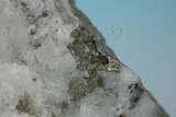 中文名:黃鐵礦(NMNS006653-P016926)英文名:Pyrite(NMNS006653-P016926)
