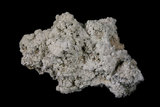 中文名:毛礬石(NMNS006097-P015472)英文名:Alunogen(NMNS006097-P015472)