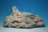 中文名:錳方解石(NMNS006605-P016569)英文名:Manganocalcite(NMNS006605-P016569)