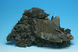 中文名:方解石(NMNS006605-P016621)英文名:Calcite(NMNS006605-P016621)