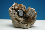 中文名:金紅石(NMNS006605-P016639)英文名:Rutile(NMNS006605-P016639)