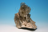 中文名:重晶石(NMNS006605-P016567)英文名:Barite(NMNS006605-P016567)