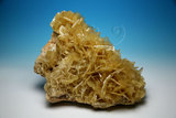 中文名:重晶石(NMNS006605-P016570)英文名:Barite(NMNS006605-P016570)