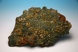 中文名:鉬鉛礦(NMNS006605-P016633)英文名:Wulfenite(NMNS006605-P016633)
