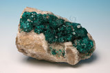 中文名:透視石(NMNS006605-P016580)英文名:Dioptase(NMNS006605-P016580)