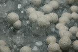 中文名:纖維鈣矽酸石(NMNS006605-P016612)英文名:Okenite(NMNS006605-P016612)