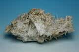 中文名:粒水硼鈣石(NMNS006605-P016634)英文名:Nifontovite(NMNS006605-P016634)