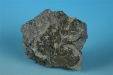 中文名:黃鐵礦(NMNS004210-P008741)英文名:Pyrite(NMNS004210-P008741)