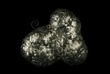 中文名:黃鐵礦(NMNS002681-P015724)英文名:Pyrite(NMNS002681-P015724)