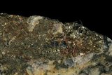 中文名:黃鐵礦(NMNS006463-P016194)英文名:Pyrite(NMNS006463-P016194)