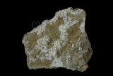 中文名:石膏(NMNS003687-P007343)英文名:Gypsum(NMNS003687-P007343)