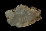 中文名:玉髓(NMNS004927-P011929)英文名:Chalcedony(NMNS004927-P011929)