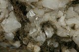 中文名:石英(NMNS006218-P015619)英文名:Quartz(NMNS006218-P015619)