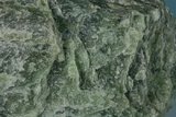 中文名:透閃石(NMNS000098-P000478)英文名:Tremolite(NMNS000098-P000478)