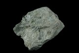 中文名:透閃石(NMNS005579-P013799)英文名:Tremolite(NMNS005579-P013799)