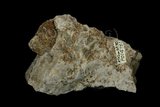 中文名:蒙脫石(NMNS005898-P014751)英文名:Montmorillonite(NMNS005898-P014751)