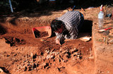 文件名稱:考古發掘工作-07