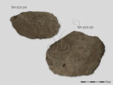 文件名稱:1251-探坑發掘的石片器