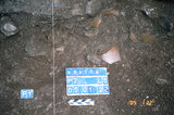 文件名稱:3717-探坑中陶器標本出...