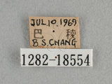 W:Tu(1282-18554)