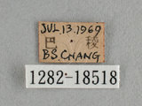 W:Tu(1282-18518)