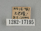 W:Tu(1282-17195)