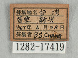 W:Tu(1282-17419)