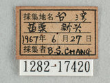 W:Tu(1282-17420)