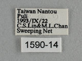 W:Tu(1590-14)