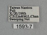 W:Tu(1593-7)