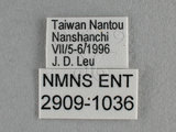 W:Tu(2909-1036)