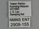 W:Tu(2909-155)