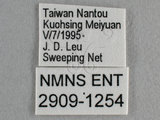 W:Tu(2909-1254)