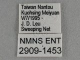 W:Tu(2909-1453)