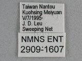 W:Tu(2909-1607)