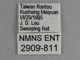 W:Tu(2909-811)