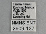 W:Tu(2909-137)