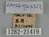中文名:紅邊黃小灰蝶(1282-21419)