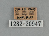 中文名:紅邊黃小灰蝶(1282-20947)